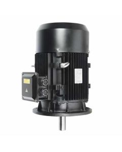 Motor de superficie vertical eficiencia PREMIUM - MAPT2P 1003234